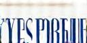 Holland Porselein Fabriek Logo
